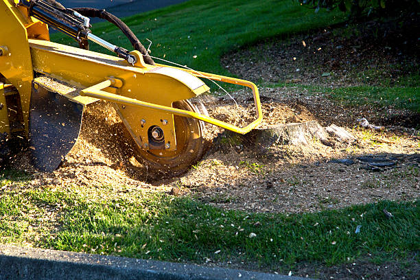 Mulching Services in Roland, IA